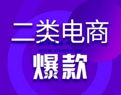 聊一个小众的电商项目——二类电商，类似1688无货源，但重广告投放。