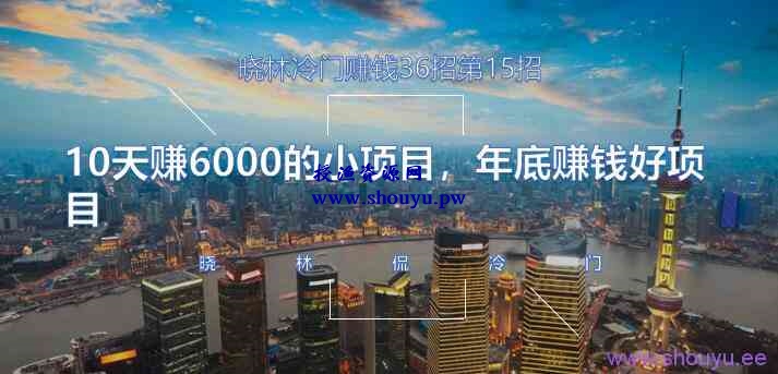 晓林冷门赚钱36招第15招10天赚6000的小项目，年底赚钱好项目【视频课程】