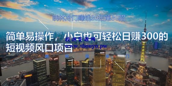 晓林冷门赚钱36招第30招简单易操作，小白也可轻松日赚300的短视频风口项目【视频课程】