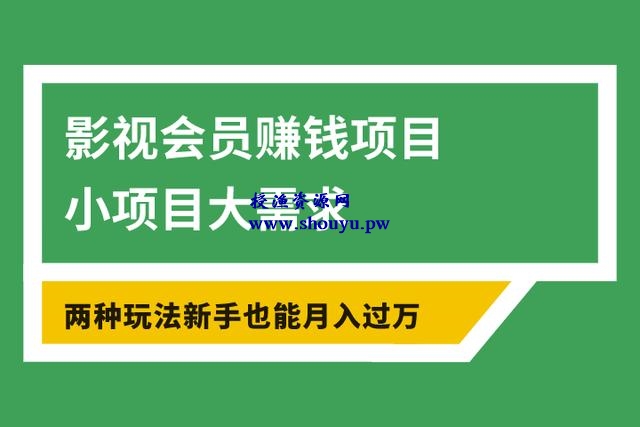 佐道超车暴富系列课9：影视会员赚钱项目，小项目大需求，两种玩法新手也能月入过万