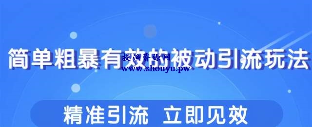 柚子团队内部课程：几个简单粗暴，立即操作立即见效的精准引流玩法