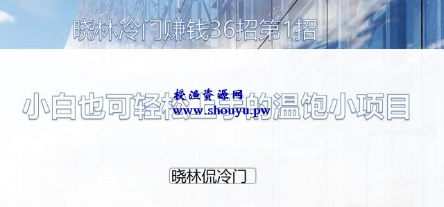 晓林冷门赚钱36招第1招：小白也可轻松上手的温饱小项目【视频课程】