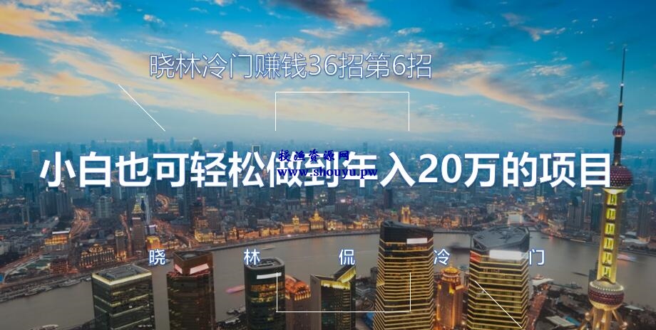 晓林冷门赚钱36招第6招小白也可轻松做到年入20万的项目【视频课程】