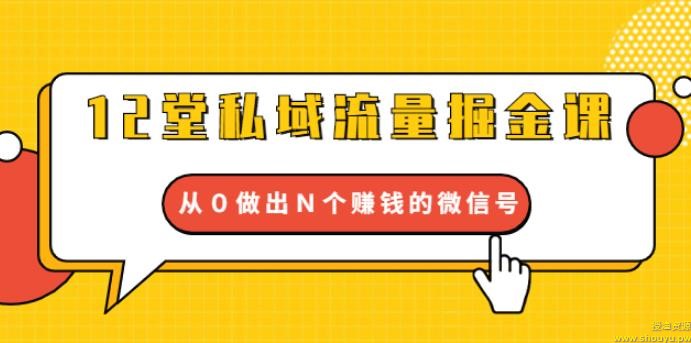 12堂私域流量掘金课：打通私域４大关卡，从0做出N个赚钱的微信号【完结】