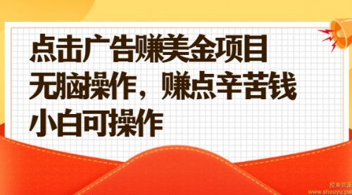 点击广告赚美金项目，无脑操作，赚点辛苦钱 小白可操作