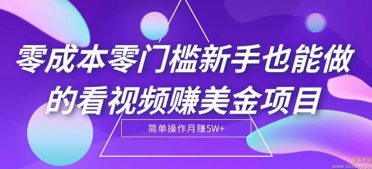 零成本零门槛新手也能做的看视频赚美金项目，轻松月赚5W+