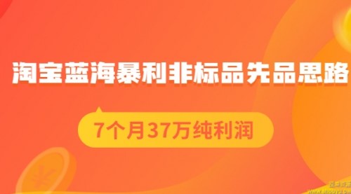 淘宝蓝海暴利非标品先品思路，7个月37万纯利润，压箱干货分享【限时免费】