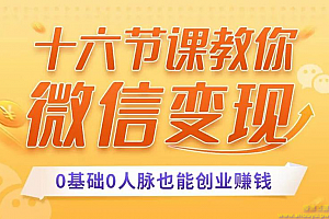 十六节课教你零基础微信变现 0基础0人脉也能创业赚钱