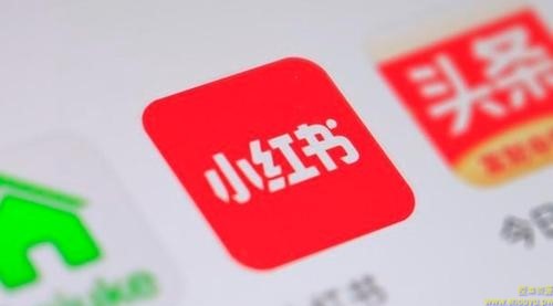 【小红书】2021 年小红书策划运营方案与报告